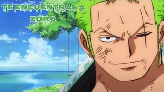 te encuentras con zoro después de su entranemiento/asmr roleplay