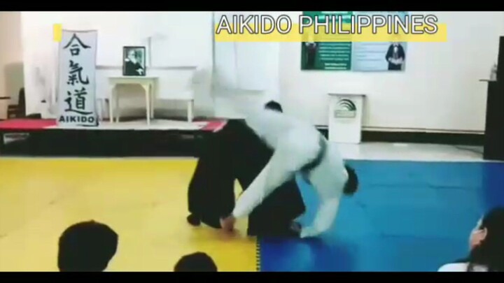 Aikido Kaigaishii Training