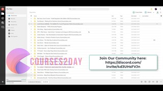 Justin Brooks (AdSkills) - The AdSkills Pro 5 Level Progression Matrix Download