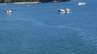 Water taxi