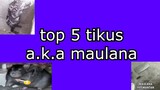 Top 5 Maulana...