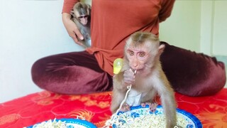 Snack Time!! Little Yaya enjoys eating noodles but Toto doesn't want it & keep playing