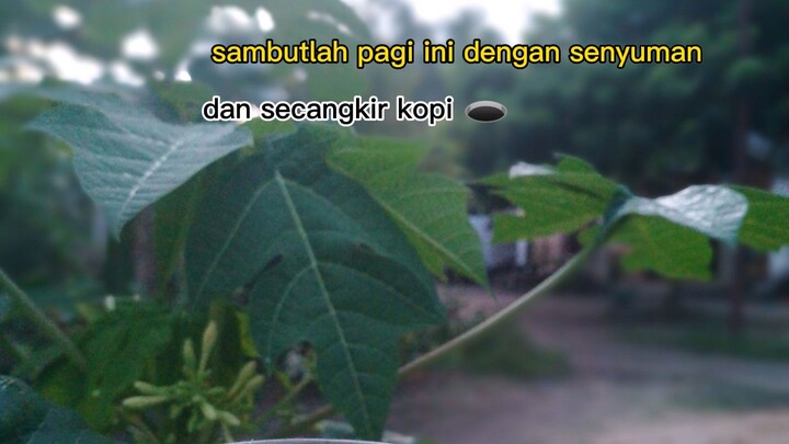 selamat pagi dunia tipu