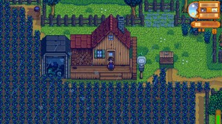 Peri Blueberry Lembah Stardew