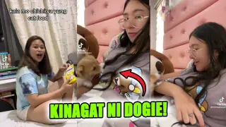 GIGIL NA DIN KASI DOGIE KINAGAT NYA YAN...| Pinoy Funny Videos