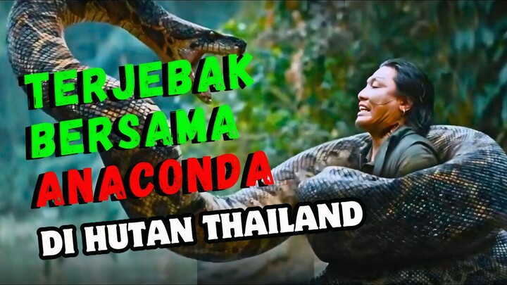 ALUR FILM ANACONDA TERBARU TAHUN 2024‼️