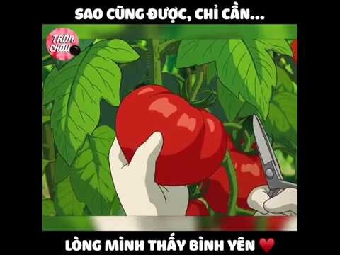 Một Chút Yên Bình Cuối Ngày // Nguồn FB: Trân Trâu Đen