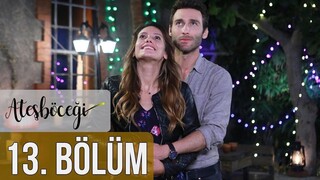 Ateşböceği VOSTFR - Épisode 13