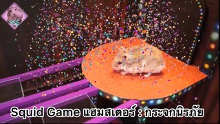 Squid Game : เกมกระจกนิรภัยสุดอันตราย