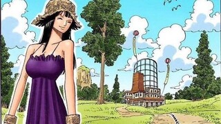 Check out the color page details in One Piece comics that you can't miss!