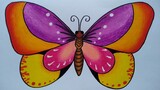 Cara menggambar kupu kupu || Belajar menggambar dan mewarnai kupu kupu yang mudah