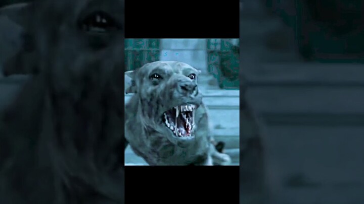 😲 Zombie Dogs Vs. Will Smith & Sam 🔥🔥| Movie Scene #willsmith  #zombies #predator #shorts
