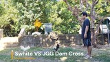 Swhite VS Arayata Dom JGG Cross 2nd Spar
