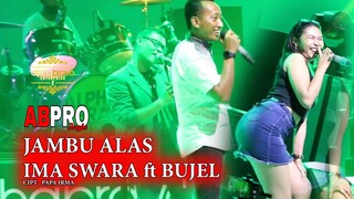 KESOGOK MAS BUJEL IMA SWARA MENDESAH GEOL BASAH - JAMBU ALAS [ COVER ] CIPT.PAPA IRMA - AB PRO JOGJA