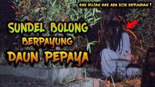 🔴 1064- JELAS ! SUNDEL BOLONG BERPAYUNG DAUN PEPAYA