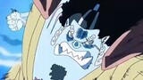 Let's take a look at the low-key boss Jinbei