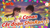 [Thám Tử Conan] Cắt đoạn ShinRan ①_4