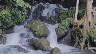 人生猶如雲煙，生離死別，天道自然。想一想，有多少已經不聯繫的朋友，默默地存在於你的通訊錄中。不是不想聯繫，實在是人生殘酷，時空變幻，有些永無交集。人生不過是一場旅行，你偶遇我，我相逢你，修行路上，