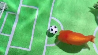 koki maen bola