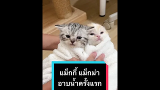 มีคนโวยวาย และมีคนหลับ แงง เอ็นดูเจ้าสองก้อน😍😍