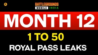 Month 12 Royal Pass leaks | BGMI Telugu