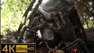 หนังใหม่​เต็ม​เรื่อง​พากย์​ไทย | PREDATOR vs WOLVERINE