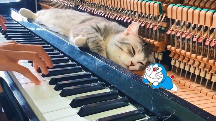 Piano Meow✖Doraemon! Which cat would you rather have? -Doraemon Theme Song-Doraemon Theme Song
