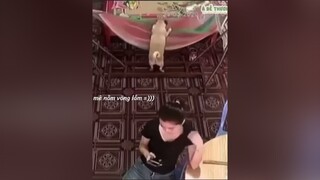 Thấy cũng tội mà thôi cũng kệ =)))) chócute dethuong haihuoc