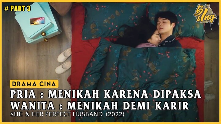 Tumbuhnya Rasa Cinta Karena Terpaksa | Alur Cerita Film She & Her Perfect Husband #PART 3