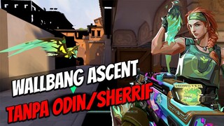 SKYE BUG! ASCENT LOBSTER WALLBANG TANPA ODIN | Valorant Indonesia