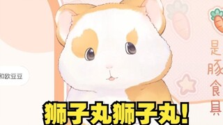 Perjalanan mental kucing saat Hua Ling berfantasi tentang pergi mencari kucing Xiao N.