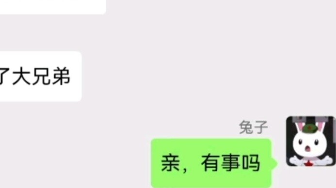 [Natu WeChat] Big Hair is making fun of you. What interesting things did the big white goose see?