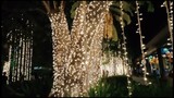 Celebrate Christmas at Azuela Cove Davao/ Vlog Review No. 104