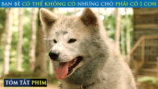 Cảm Động Chú Chó Kiên Trì Mang Thức Ăn Về Cho Chủ Nhân Đã Chết | Review Phim | T91 Vlog