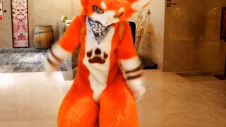 【Fursuit】 Múa trang phục động vật - nhuộm màu