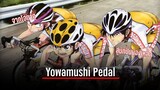 การมาถึงของ SS5 โอตาคุน่องเหล็ก Yowamushi pedal season 5