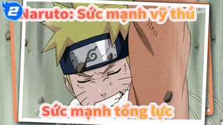 [Naruto] Sức mạnh tổng lực trong Sức mạnh vỹ thú!_2