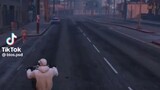 Grand Theft Auto V trolling moments