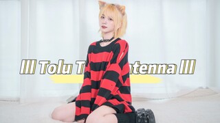 谁能拒绝可爱的猫猫呢？lll Tolu Ting Antenna lll