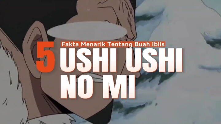 5 Fakta Menarik tentang Buah Iblis USHI USHI NO MI🔥