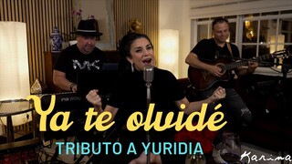 Karina - Ya te olvidé | Tributo a Yuridia