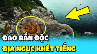 💥ĐẢO RẮN ĐỘC - ĐỊA NGỤC KHÉT TIẾNG của các tù nhân nguy hiểm nhất | TIN GIẢI TRÍ