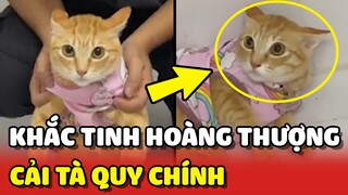 Hoàng Thượng CẢI TÀ QUY CHÍNH khi gặp đúng "KHẮC TINH" 😂 | Yêu Lu