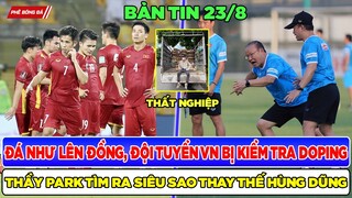 TIN BÓNG ĐÁ VIỆT NAM 23/8: TUYỂN VIỆT NAM BỊ KIỂM TRA DOPING, THẦY PARK CÓ  SAO THAY THẾ HÙNG DŨNG