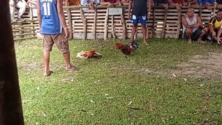 ganda ng laban