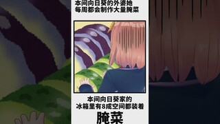 本间向日葵相关豆知识【基础篇】