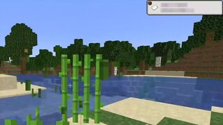 [Minecraft] Đặt các khối và chúng sẽ thay đổi ngẫu nhiên!