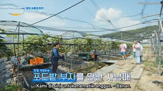 Fresh off the Sea Eps 11 [INDO SUB]