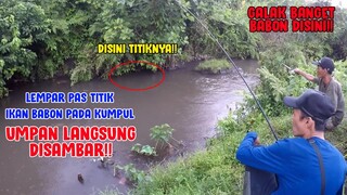 Mancing Tepat Di TiTik Ikan Babon Pada Kumpul... LANGSUNG DISAMBAR UMPANNYA!!