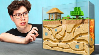 I Built Minecraft IRL for my Ant Colony